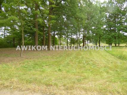 Działka budowlana na sprzedaż, 1725 m2, Rusiec