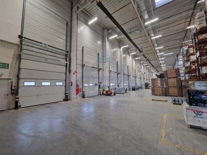 Magazyn Podnajem od 2500 m2