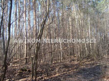 Działka budowlana na sprzedaż, 3800 m2, Książenice