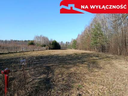Działka budowlano-rolna 90 ar, Krzywe.