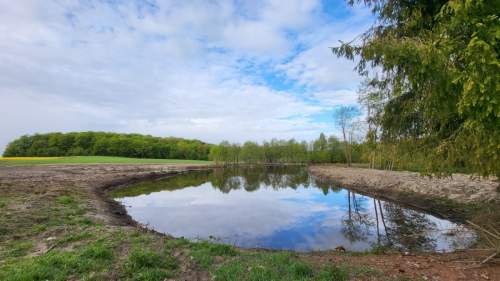 1,56ha DZIAŁKA BUDOWLANA ZE STAWEM 35min od Gdańsk