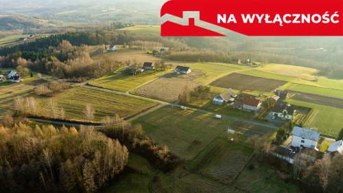 Działka budowlana 36 ar, Tuchów Okazyjna cena