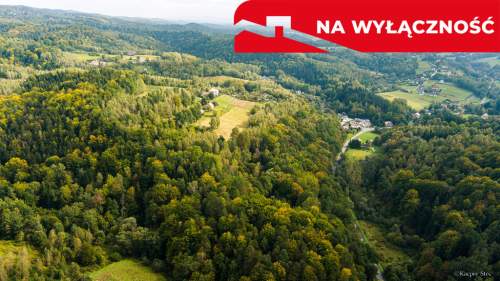 Działka rolno-leśna w Jodłówce Tuchowskiej
