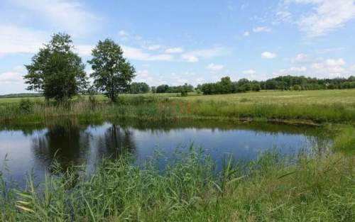 Kal / Jezioro Mamry 1,42 ha z linią brzegową działka in