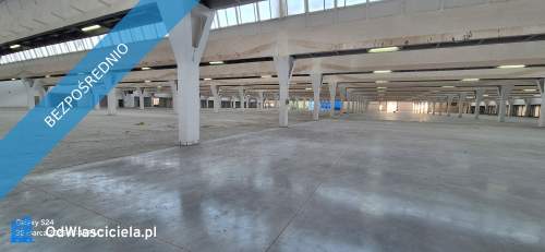 Hala magazynowa 12.500m2