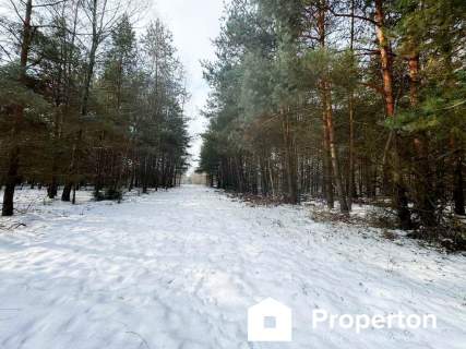 Na sprzedaż ponad hektar lasu Baranów /lubelski