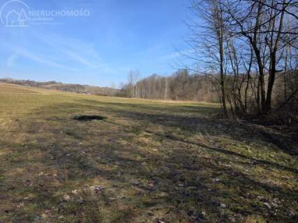UROKLIWA DZIALKA 1,10 HA W JODŁOWEJ - OTOCZONA NATURĄ, Z P