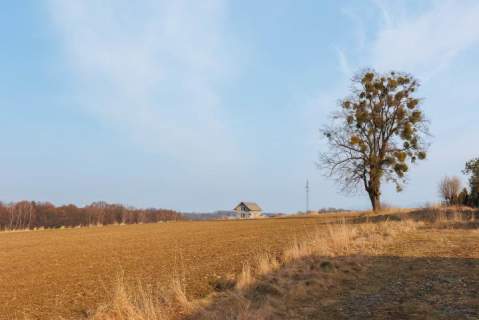 Międzyrzecze Dolne- działka budowlana na sprzedaż