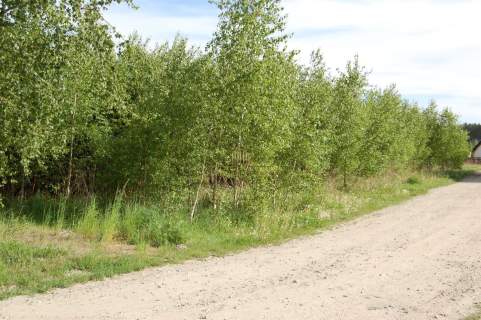Działki budowlane Nekla 1000 m2 i 1535 m2.