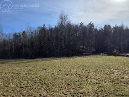 UROKLIWA DZIALKA 1,10 HA W JODŁOWEJ - OTOCZONA NATURĄ, Z P