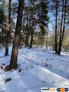 Działka budowlana w lesie, 1500 m .