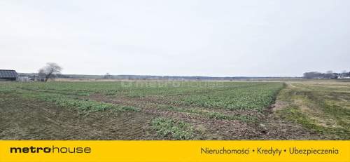 DUŻA DZIAŁKA MIESZKALNO - USŁUGOWA W KROKOWEJ