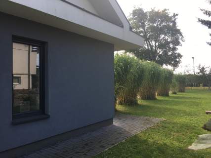 Do zamieszkania lub pod działalność gospodarczą