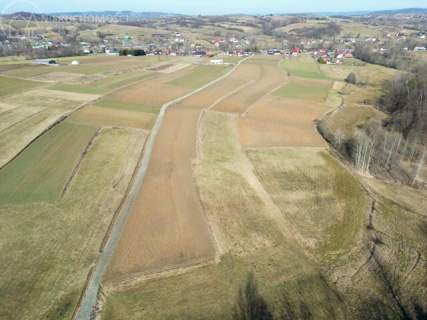 UROKLIWA DZIALKA 1,10 HA W JODŁOWEJ - OTOCZONA NATURĄ, Z P