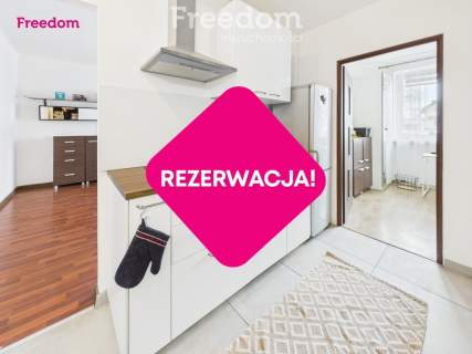 2 pokoje z dużym tarasem i zielenią, Morcinka
