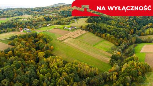 Działka Lichwinie. Rolno-leśna,   Nowa Cena   
