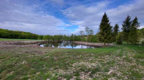 1,56 ha DZIAŁKA BUDOWLANA ZE STAWEM 0,40 ha