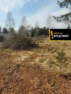 Samsonów   duża działka 0,5 ha, media w drodze