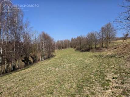 Malownicza działka 25 arów w spokojnej okolicy - Zawada k. Tarnowa