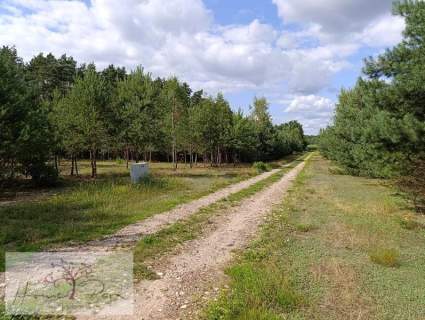 Działka budowla 1044m2 Ludowinka