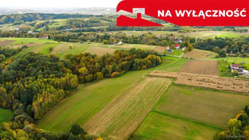 Działka Lichwinie. Rolno-leśna,   Nowa Cena   