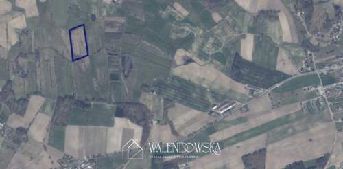 działka rolna 2,22 ha - Gowidlino, pow. kartuski