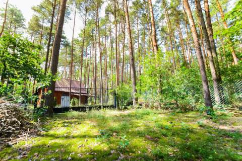 2 działki nad Narwią - Poddębie k. Wieliszewa