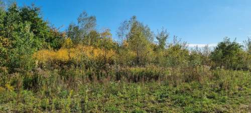 Działka budowlana na sprzedaż, 46050 m2, Żółwin
