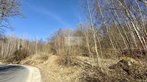 Działka 1,78ha 17 800m2 góry, inwestycyjna, Gruszków, My