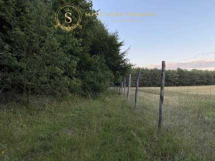 Działka 1192 m2 Las Za Płotem 