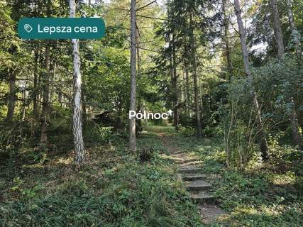 Dom na sprzedaż, 213,5 m2, Płociczno