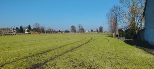 Siedlisko 2,25 ha dom 148 m garaż światłowód asfalt