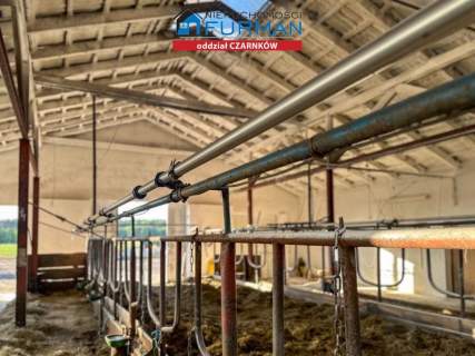 Działka rolna na sprzedaż, 227900 m2, Wrzeszczyna