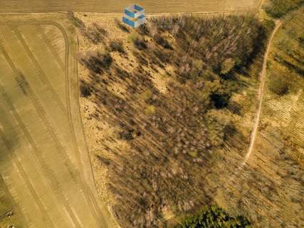Sprzedam grunty rolne 3,28 ha   Dziśnity