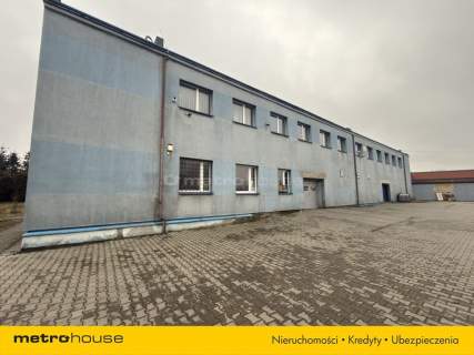 Lokal użytkowy do wynajęcia, 135 m2, Będzin