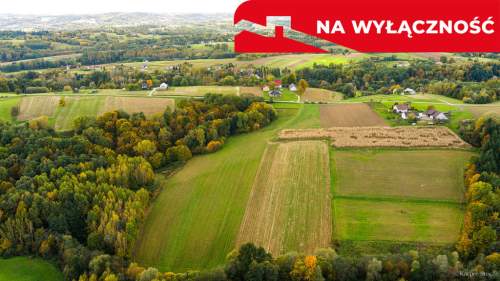 Działka Lichwinie. Rolno-leśna,   Nowa Cena   