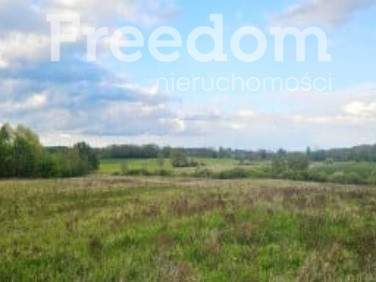 2,24 ha ziemi rolnej Dębnik płaski teren