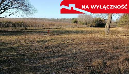 Działka budowlano-rolna 90 ar, Krzywe.