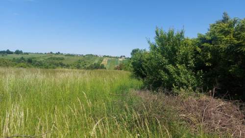 Działka budowlana na sprzedaż, 900 m2, Sadowie