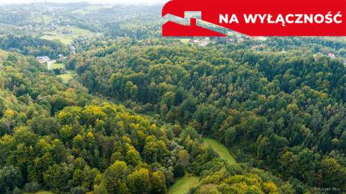 Działka rolno-leśna w Jodłówce Tuchowskiej