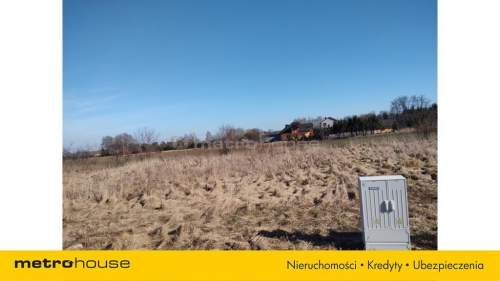 Działka, Nowe Rowiska