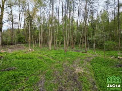 Atrakcyjne działki nad stawem w Debrznie MPZP
