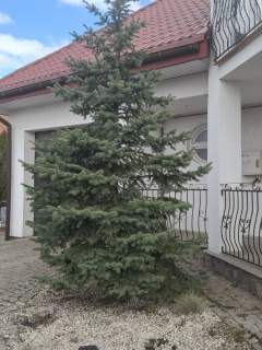 Dom na Oś. dojlidy górne