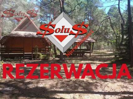 Dom letnikowy na malowniczej działce leśnej