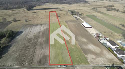 Działka rolna Ducka Wola 1,6ha