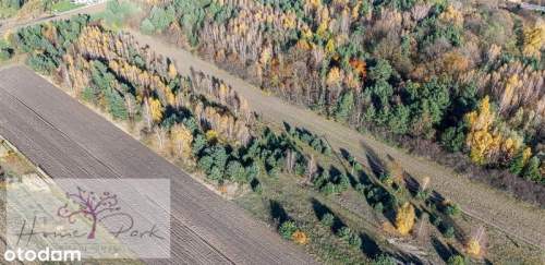 Działka inwestycyjna 1,95 ha MPZP Blisko S8