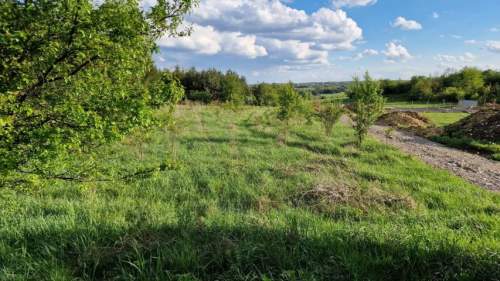Działka budowlana na sprzedaż, 771 m2, Sadowie