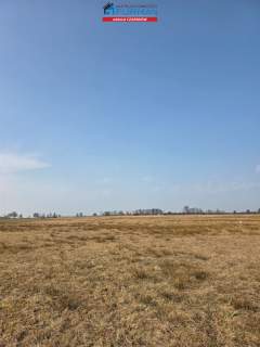 dteren inwestycyjny na sprzedaż w Czarnkowie