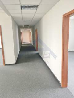 Do wynajęcia Praga biuro 286 m2