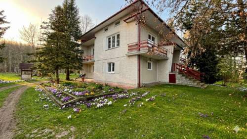 Siedlisko z dużym domem, działka budowlana 1,3 ha, ogrodzona